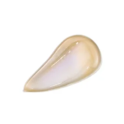 Absolue Le Serum