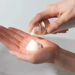 Absolute Silk Micro Mousse Treatment
