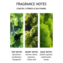 Coastal Cypress & Sea Fennel Bath & Shower Gel