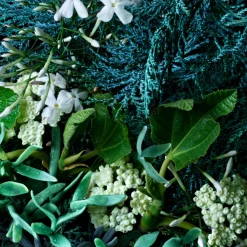 Coastal Cypress & Sea Fennel Bath & Shower Gel