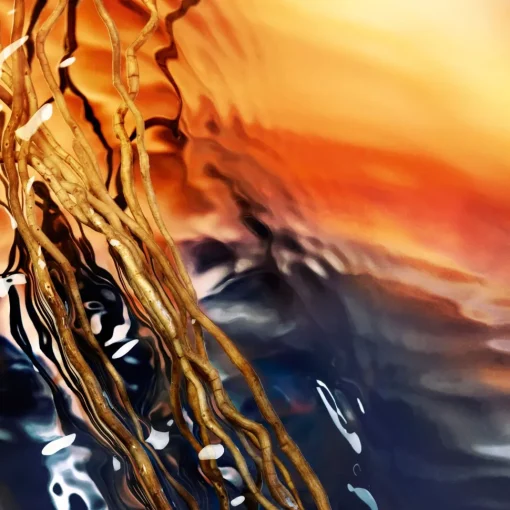 Cool Water Reborn Eau de Parfum