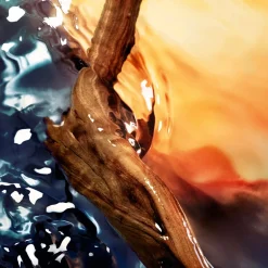 Cool Water Reborn Eau de Parfum