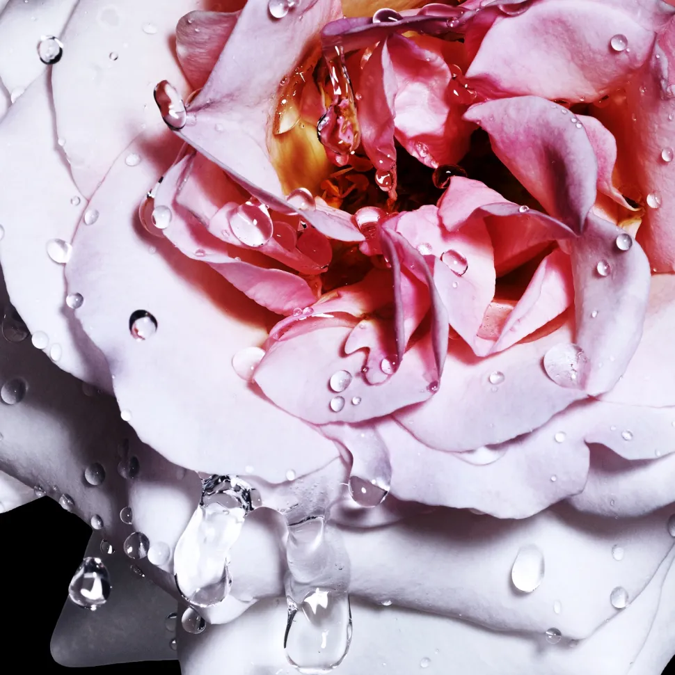 Cool Water Woman Reborn Eau de Toilette