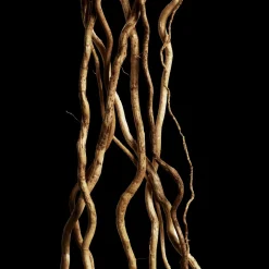 Cool Water Woman Reborn Eau de Toilette