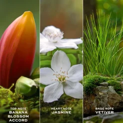 Daisy Wild Eau de Parfum Showergel