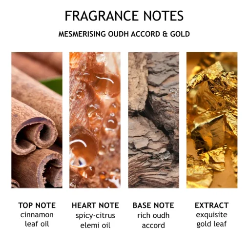 Mesmerising Oudh Accord & Gold Body Lotion