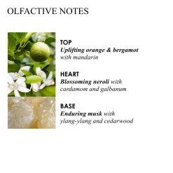 Orange & Bergamot Hand Sanitizers