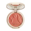 Silky Powder Blush