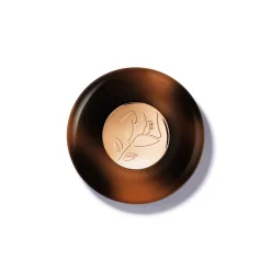 Teint Idole Ultra Wear Highlighter