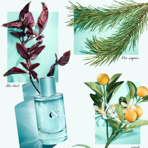 Tiffany & Love Eau de Parfum for Her