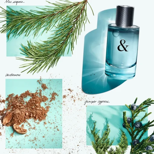 Tiffany & Love Eau de Toilette for Him