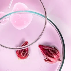 Ultimune Power Infusing Concentrate