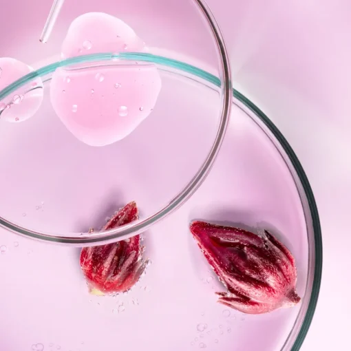 Ultimune Power Infusing Concentrate