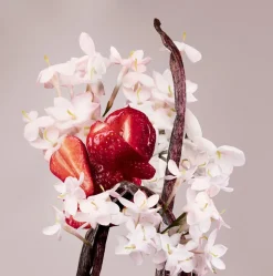 Valentina Eau de Parfum