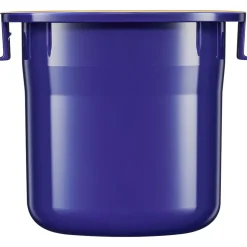 Vital Perfection Uplifting and Firming Advanced Cream Enriched Refill