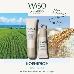 WASO Koshirice Tinted Spot Treatment