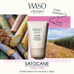 WASO Pore Purifying Scrub Mask