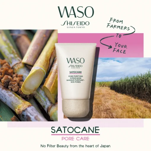 WASO Pore Purifying Scrub Mask