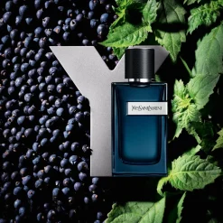Y Eau de Parfum Intense